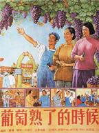 《葡萄园下的女人》那个主演